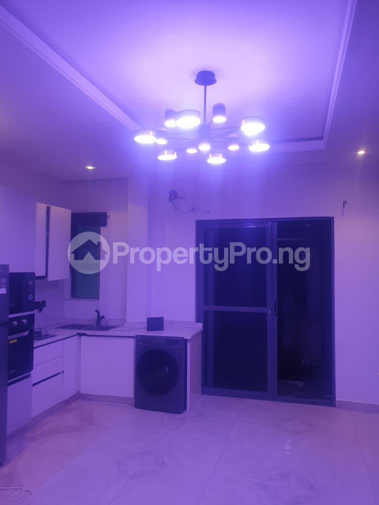 1 bedroom Flat / Apartment for rent Freedom Way Lekki Lagos