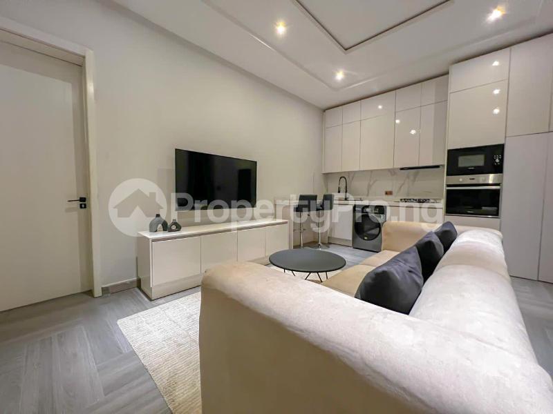 1 bedroom Flat / Apartment for shortlet Lekki Phase 1 Lekki Lagos - 0