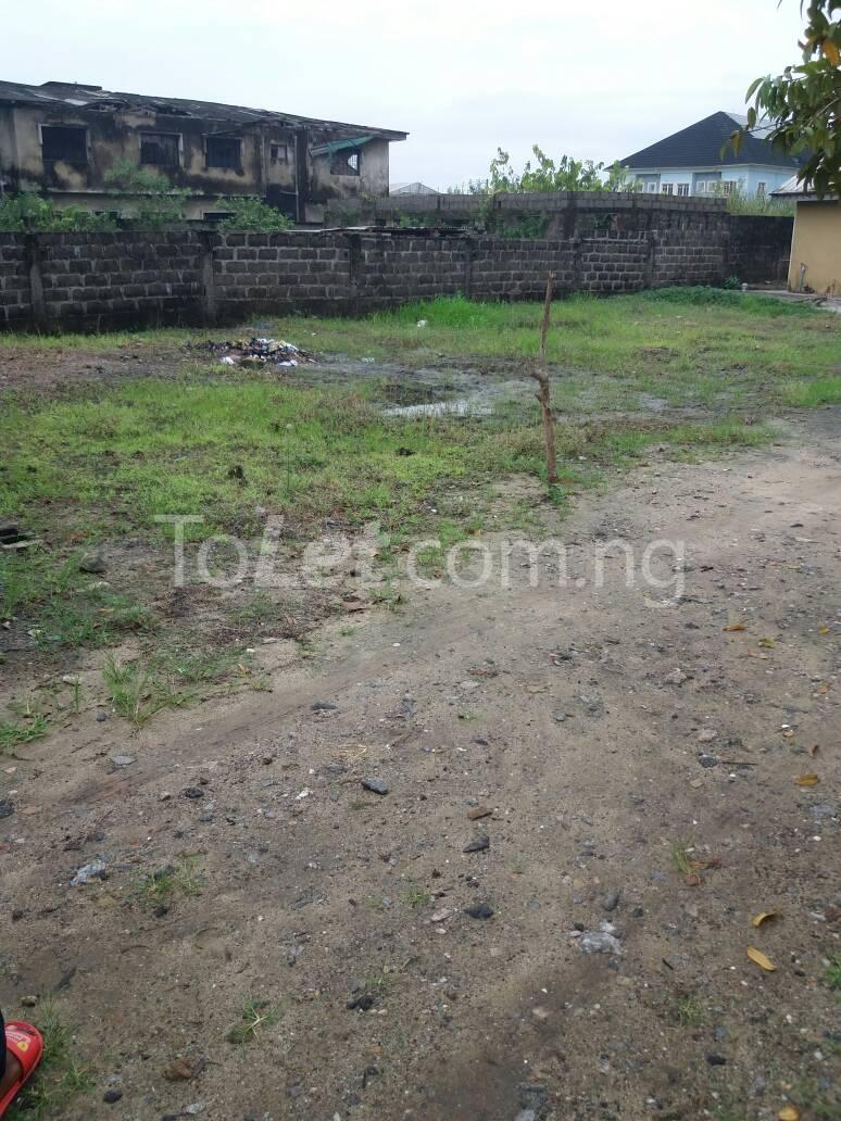Land in Ago palace Okota Lagos Land for sale in okota Land in okota