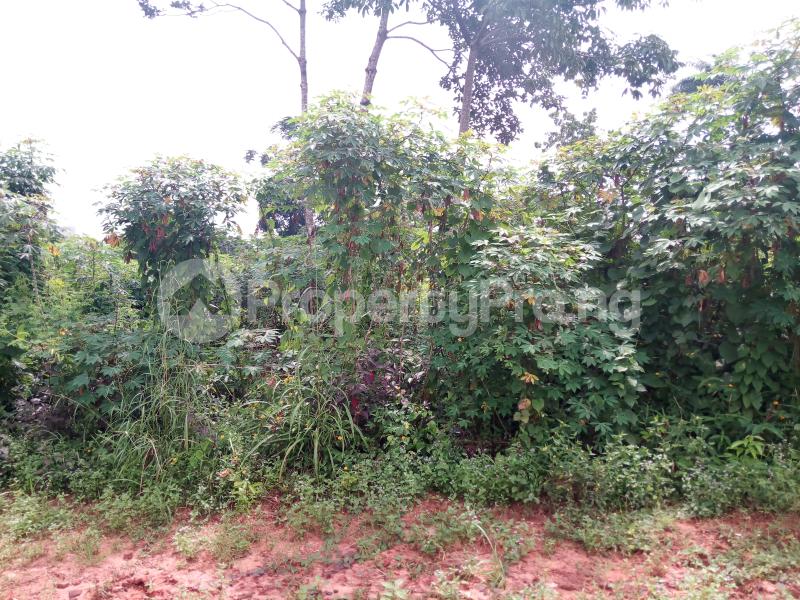 1 bedroom Land for sale Ezimezi Amawbia. Awka South Anambra