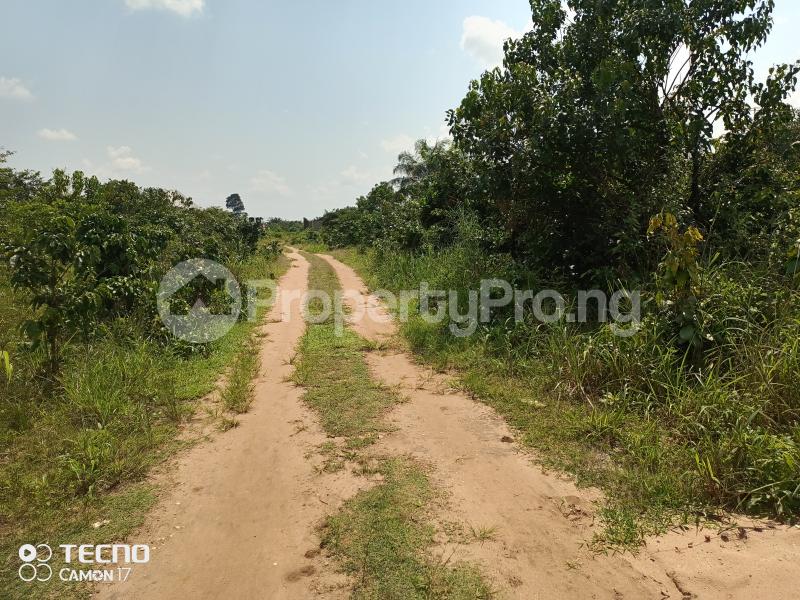 Land for sale Owerri Imo Realtors in Nigeria