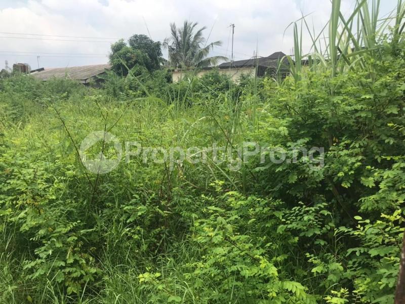Land in Badore Ajah Lagos Land for sale in ajah Land in ajah PropertyPro.ng