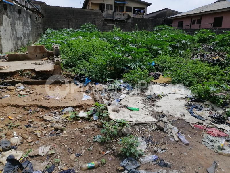 Land for sale Land For Sale At Benson Lowa, Ikorodu Ikorodu Ikorodu Lagos - 2