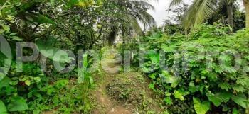 Land for sale Behind Dakkada Secreteriate Uyo Akwa Ibom - 0