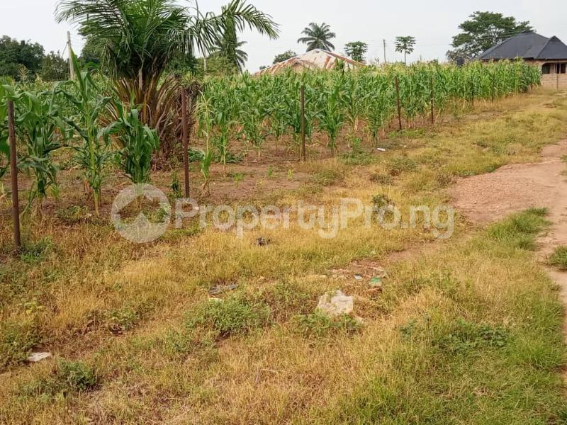 Land in Osogbo Osun Land for sale in osogbo Land in osogbo