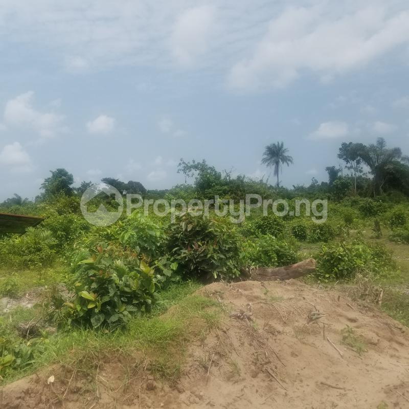 Land for sale Around Igbonla Model College, Epe, Saint Augustine University Epe Road Epe Lagos - 0