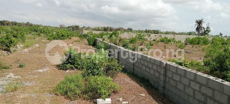 Land for sale King Ocean Estate Close To Novare Mall And Shoprite Sangotedo With Crown Estate With Lagos Business School Sangotedo Ajah Lagos