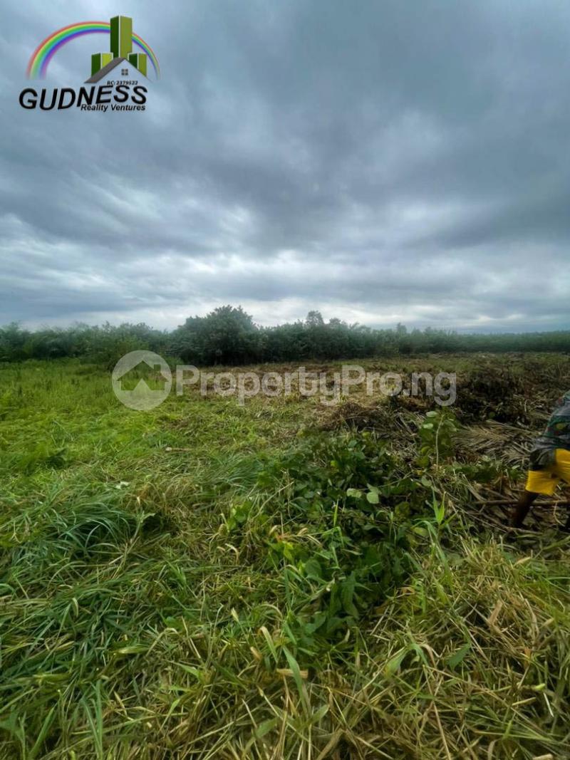 Land for sale Oko Abe, Abijo, Ibeju Lekki Ibeju-Lekki Lagos