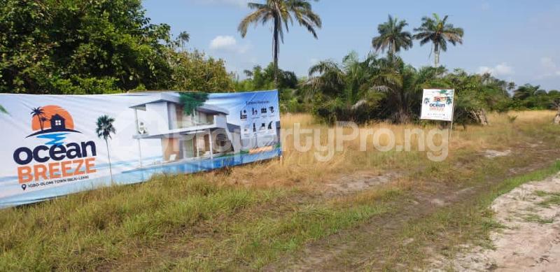 Land for sale Igbo Olomi. 3 Minutes After La Campagne Tropicana LaCampaigne Tropicana Ibeju-Lekki Lagos - 0