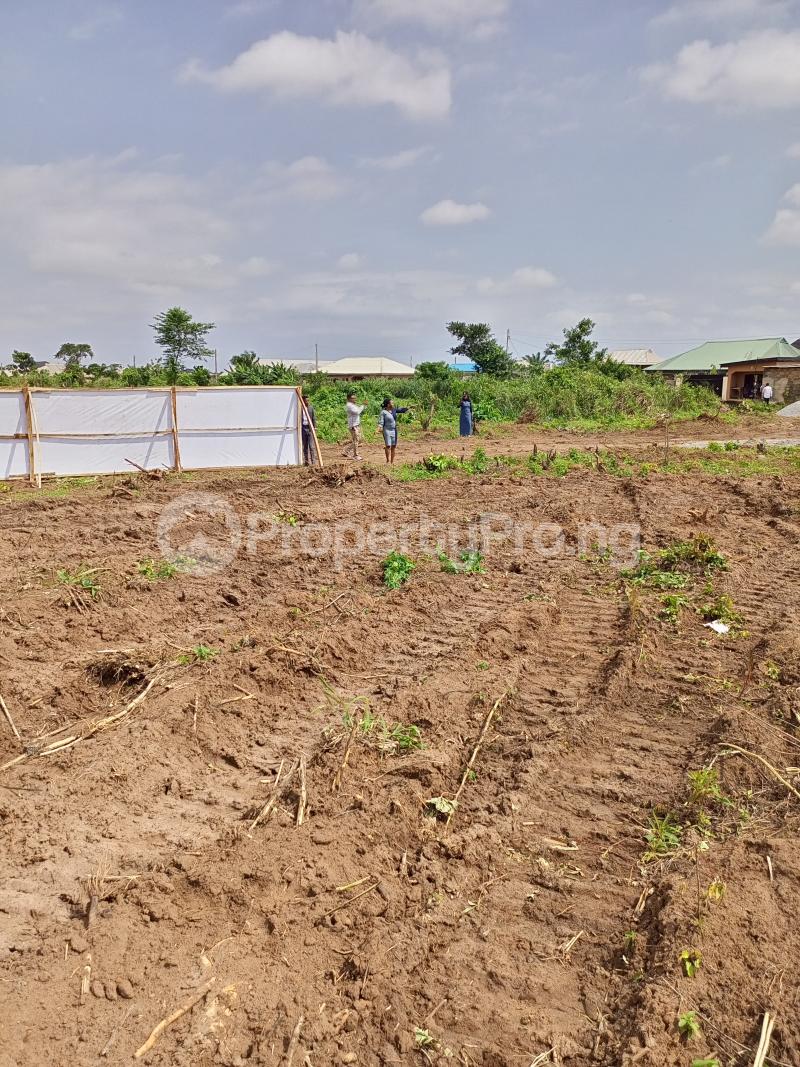 Land for sale Ikola Road ,alimosho Alimosho Lagos