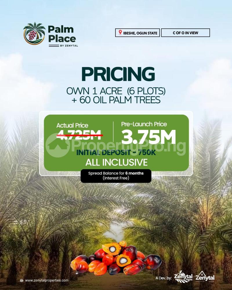 Land for sale Ibeshe Ogun State Obafemi Owode Ogun