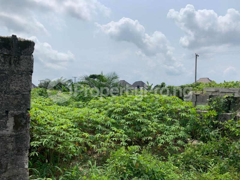 Land for sale Off Ph International Airport Road Near Greater Evangelism World Crusade Headquarters Rupkpokwu Port Harcourt Rivers
