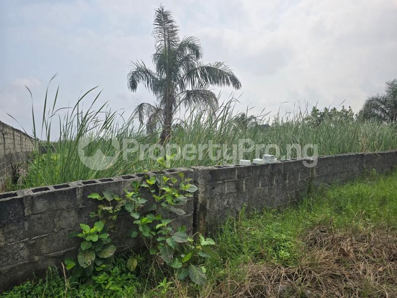 Land for sale University View Estate, Opposite Lagos Business School Sangotedo Ajah Lagos - 0