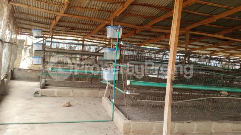 Commercial Property for rent Bovas Omi Adio Ibadan Oyo