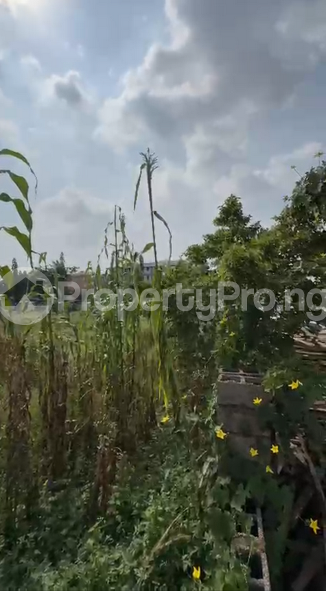 Land for sale Jabi Abuja