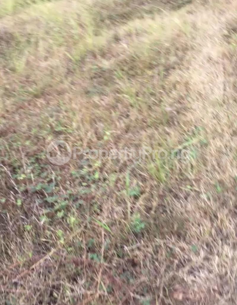 Land for sale Banku Village, Via Warewa Ifo Ifo Ogun
