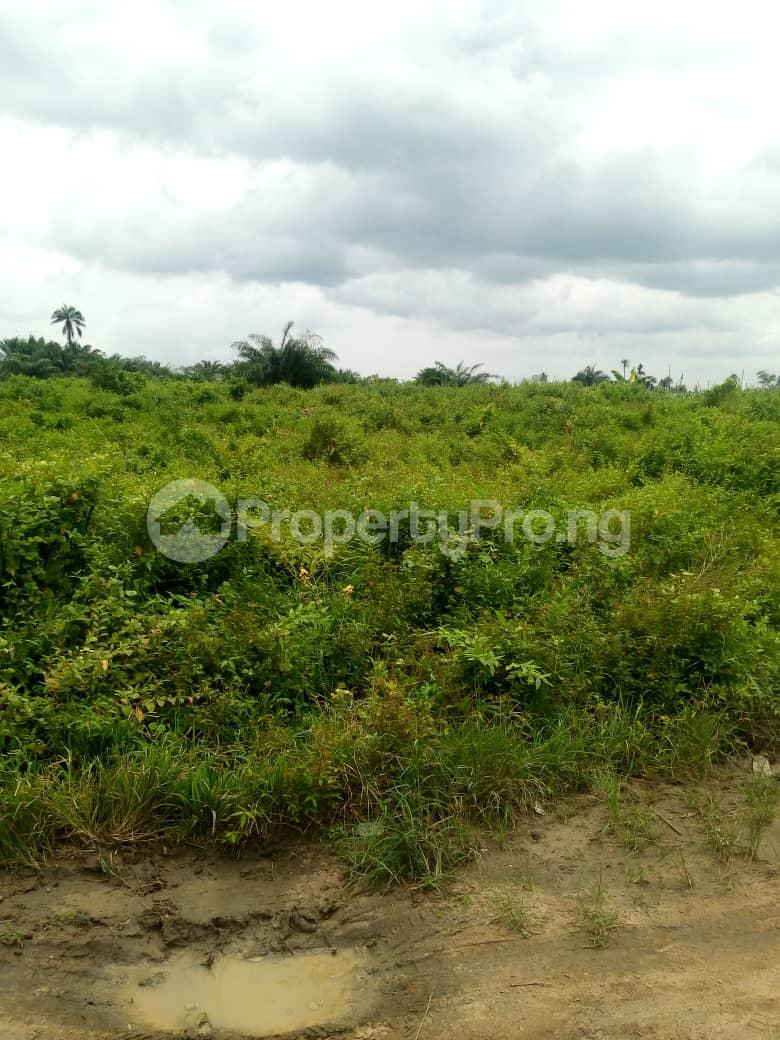 Land in Sangotedo Lagos Land for sale in sangotedo Land in