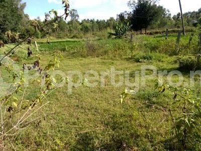 Land for sale   Ibeju-Lekki Lagos - 0
