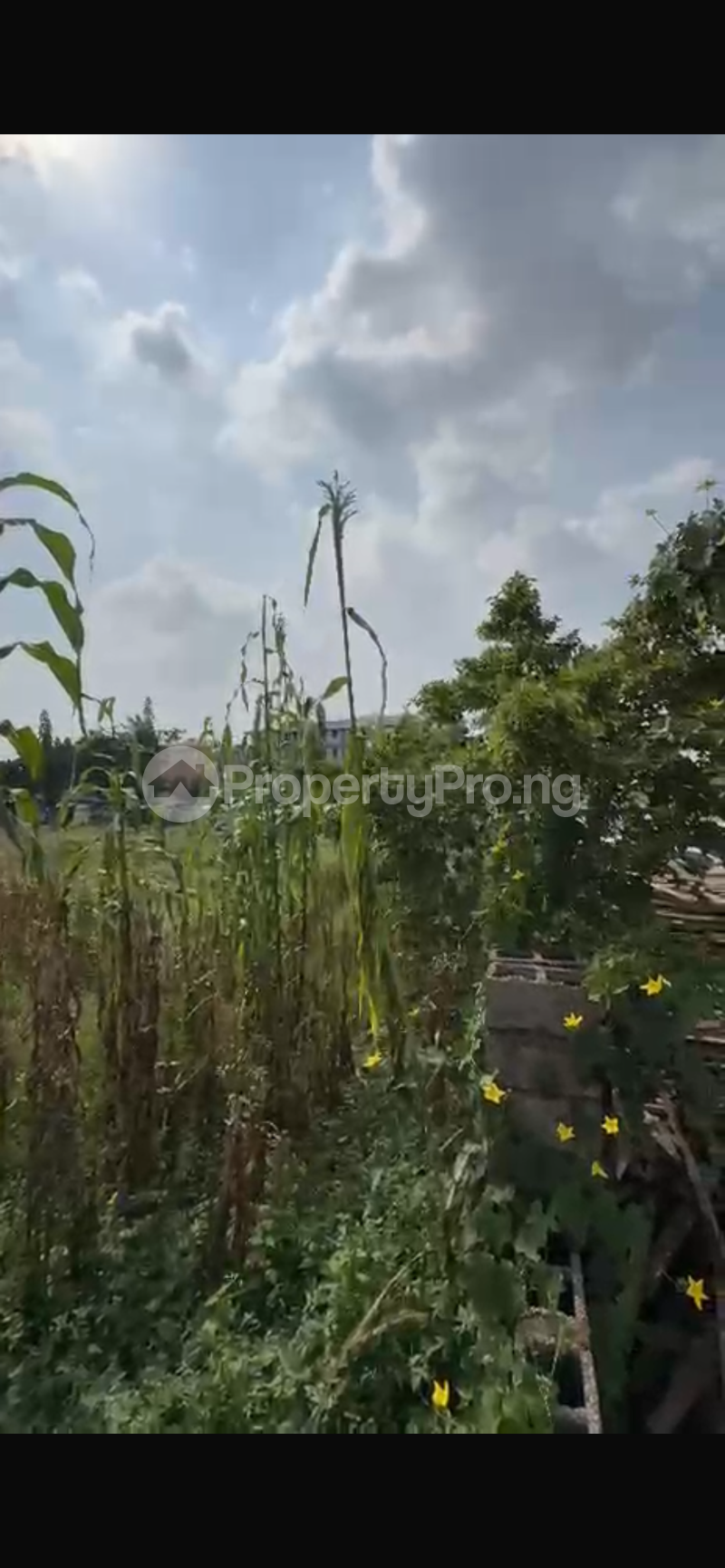 Land for sale Jabi Abuja