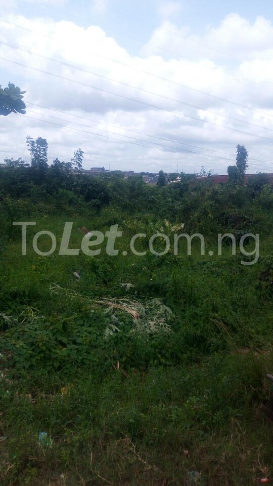 Land for sale Idimu Ejigbo Estate. Lagos Mainland Ejigbo Ejigbo Lagos