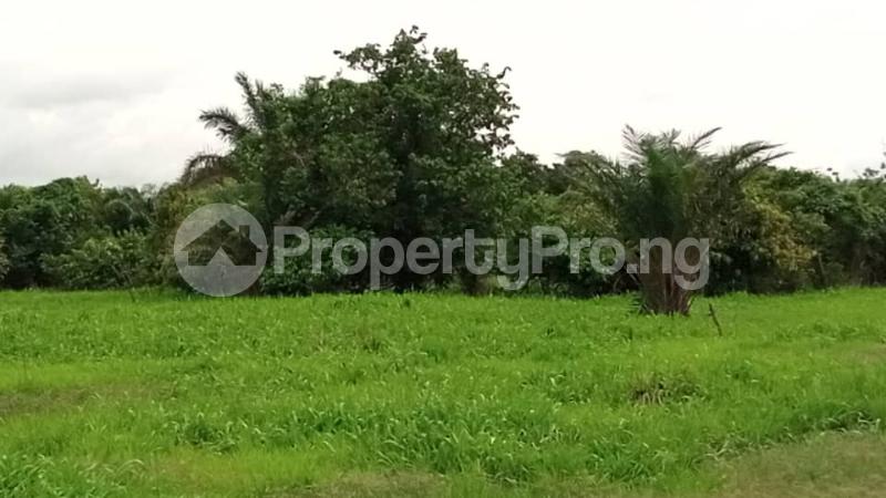 Land for sale Lekki Phase 2 Lekki Lagos