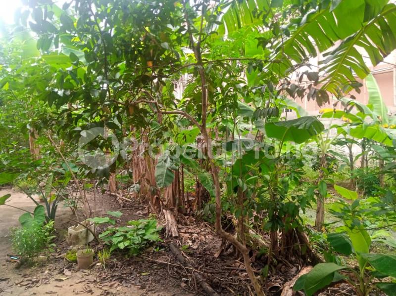 Land for sale Port Harcourt Rivers