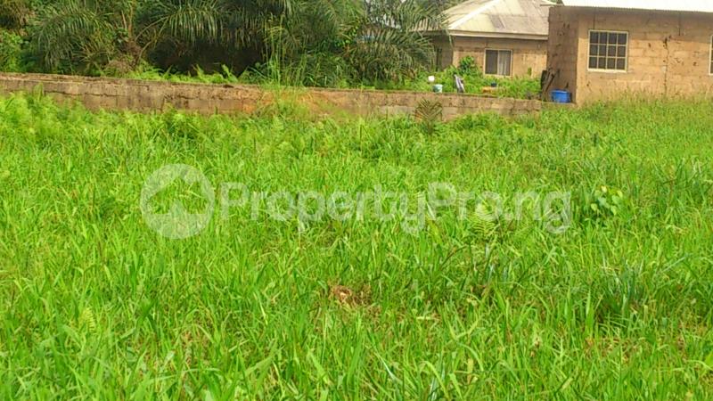 Land for sale Aghedo Street, Aiyetobi, Command Ipaja Alimosho Lagos - 0