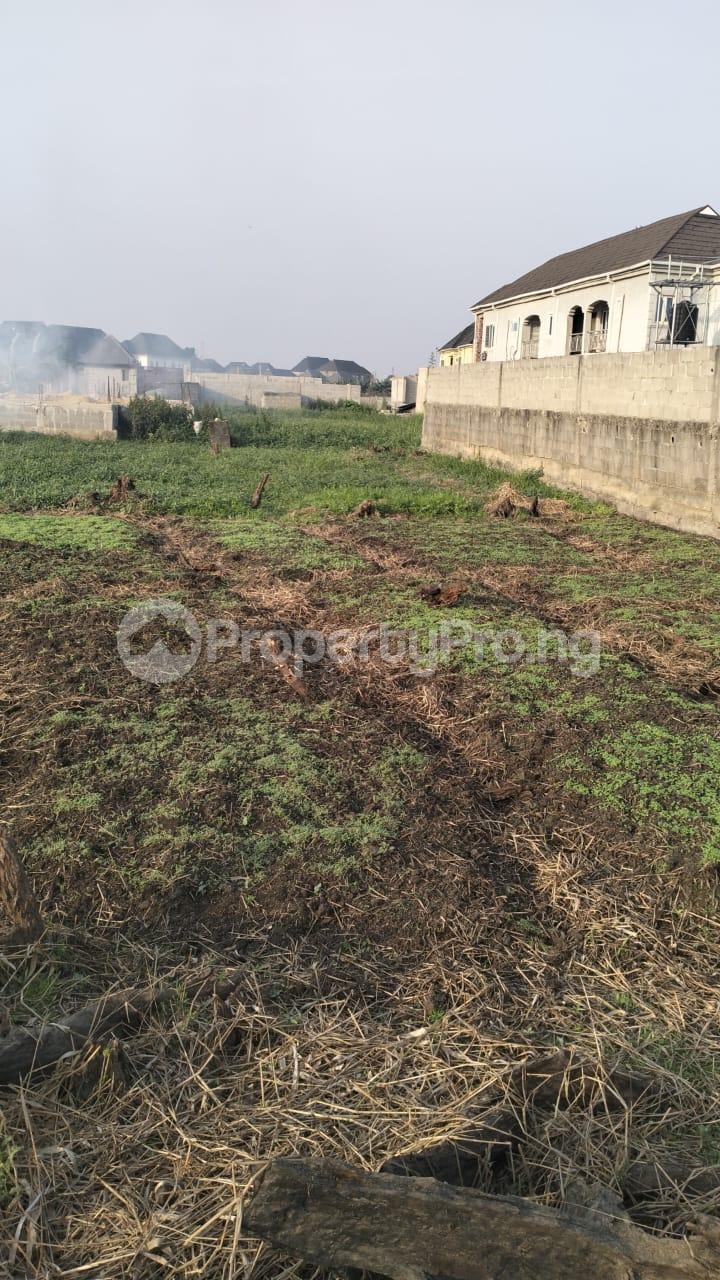 Land for sale Nechi Sabastine Street Bucknor Isolo Lagos - 0