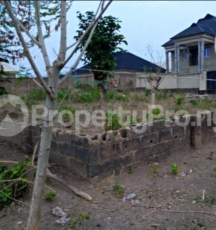 Land for sale Arubiewe Olodo, Behinde Hajj Camp Egbeda Alimosho Lagos