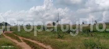 Land for sale Orilemo, Mowo Road, Opposite Eltees Farm, Awo Ofada Obafemi Owode Ogun - 0