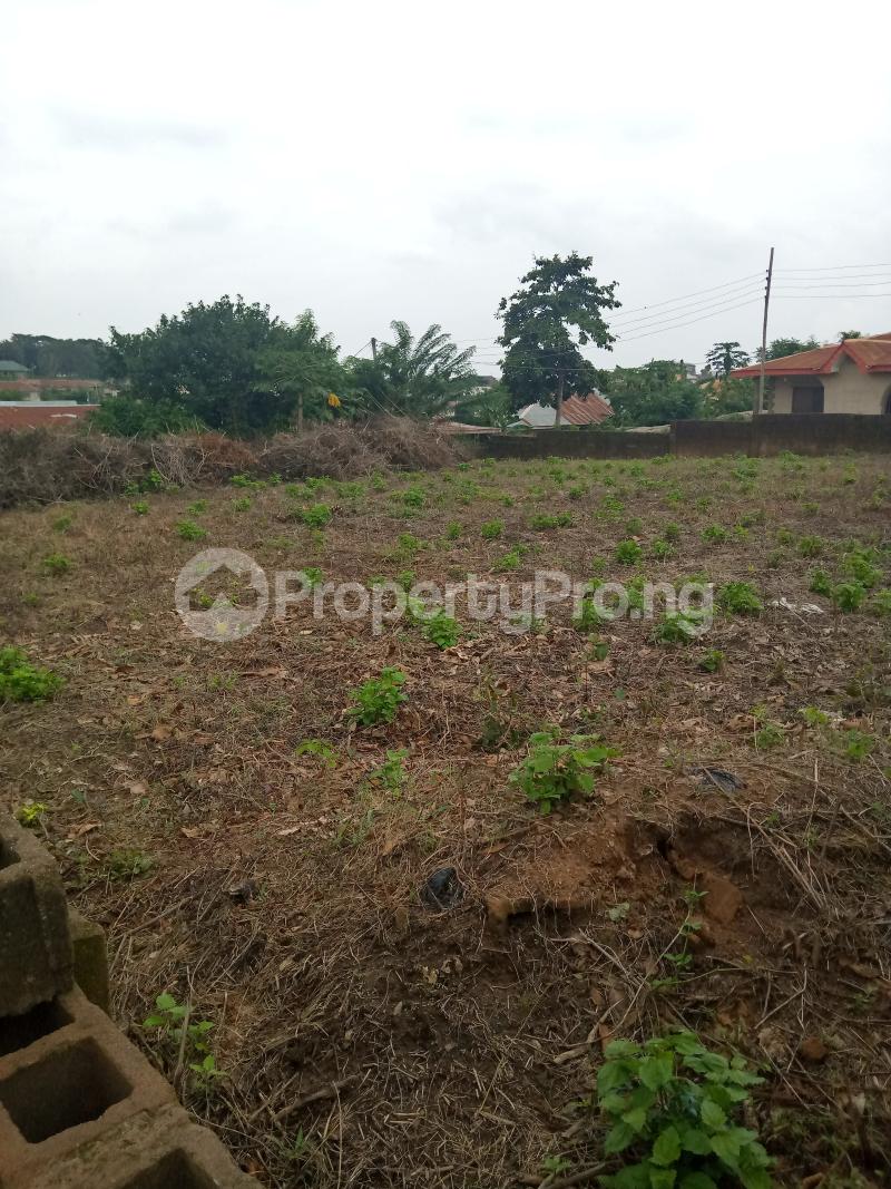 Land for sale Tireadara Estate, Immediately After Ire Akari Estate, Oluyole Extension Oluyole Estate Ibadan Oyo