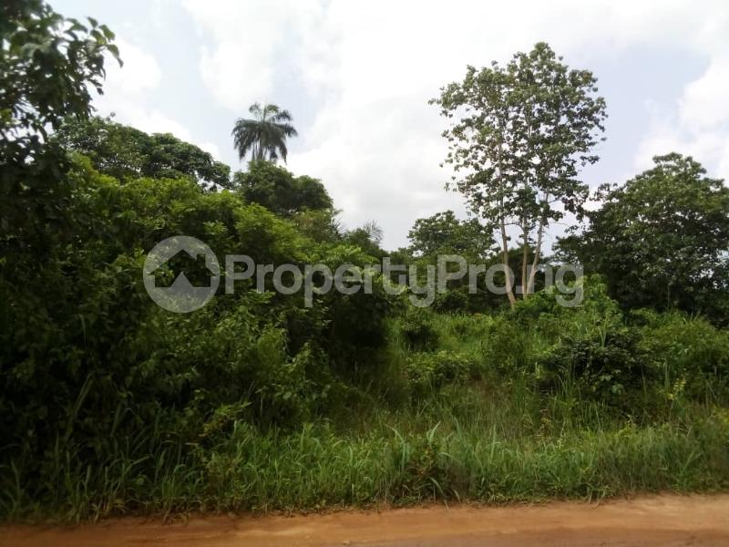 Land for sale Opposite Funaab Campus In Mawuko Ikerekodo Abeokuta Ogun - 0