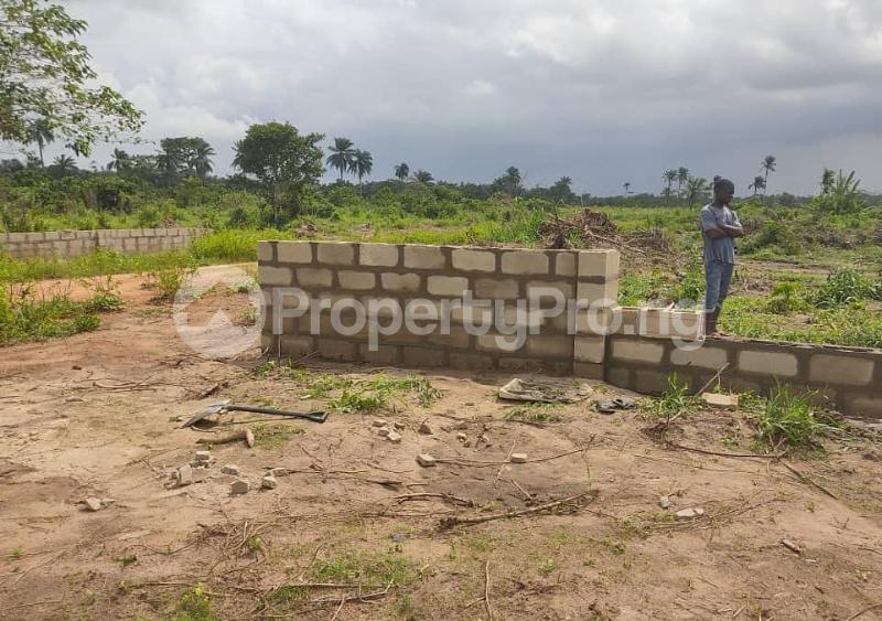 Land for sale Ilara, Igbonla Epe Epe Road Epe Lagos - 0