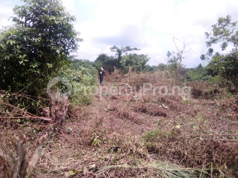 Land for sale Itori Town,9 Minutes Drive From Itori Junction Lagos Abeokuta Express Papalanto Ewekoro Ogun
