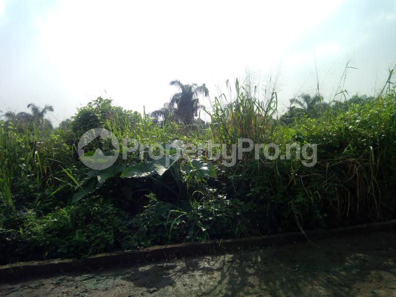 Land for sale Kunle Ogedengbe Street Magodo Shangisha Phase 2 Magodo GRA Phase 2 Kosofe/Ikosi Lagos - 1