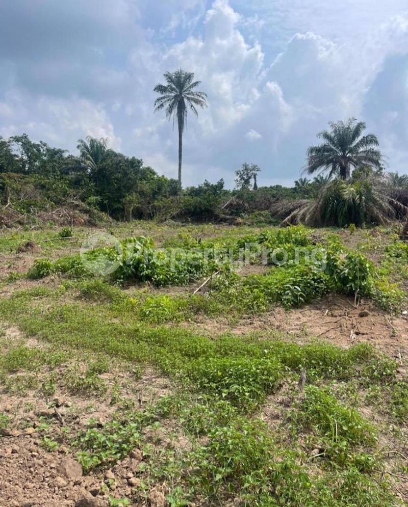 Land in Epe Road Epe Lagos Land for sale in epe Land in epe