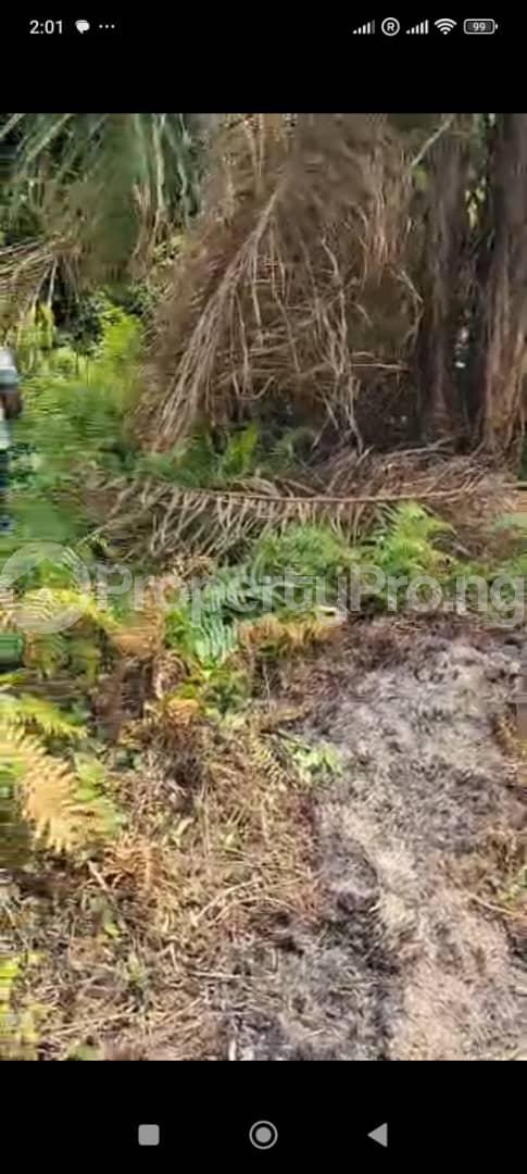 Land for sale Tigbo Ilu Ota-Idiroko road/Tomori Ado Odo/Ota Ogun