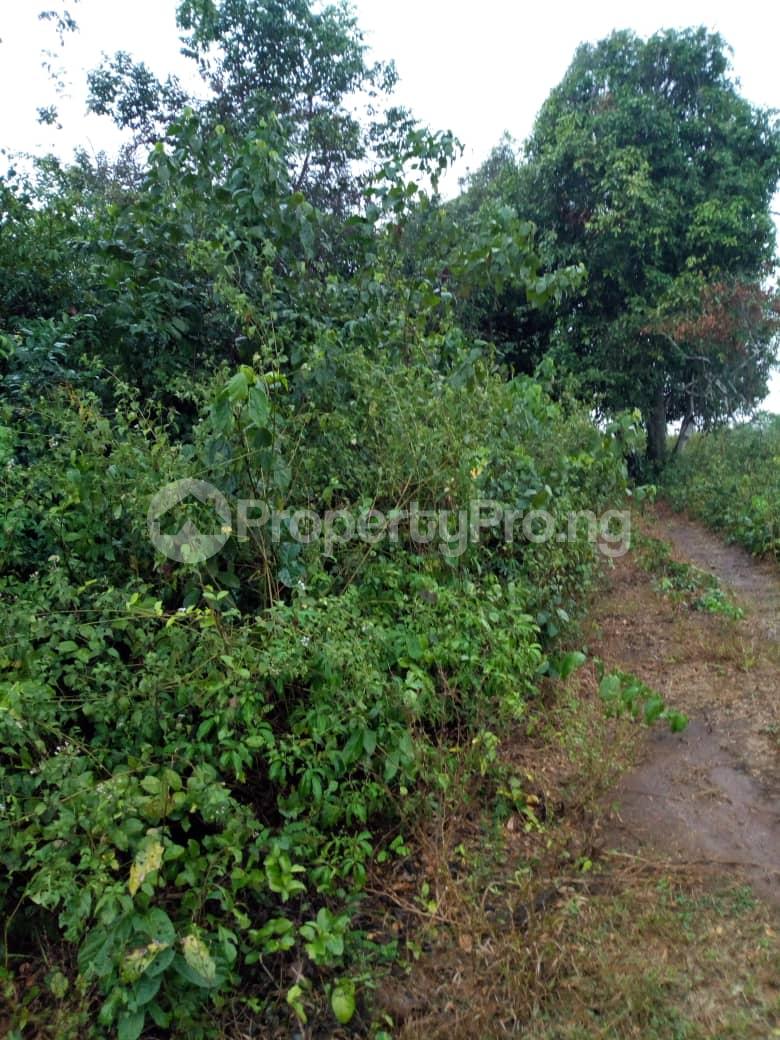 Land for rent .. Ikorodu Lagos