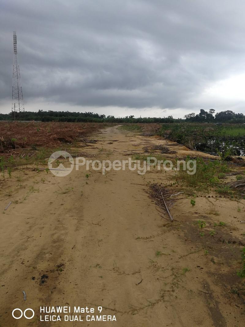 Land for sale Kayetoro Eleko Ibeju-Lekki Lagos