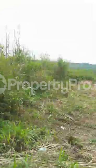 Land for sale Ozubulu Ekwusigo Anambra