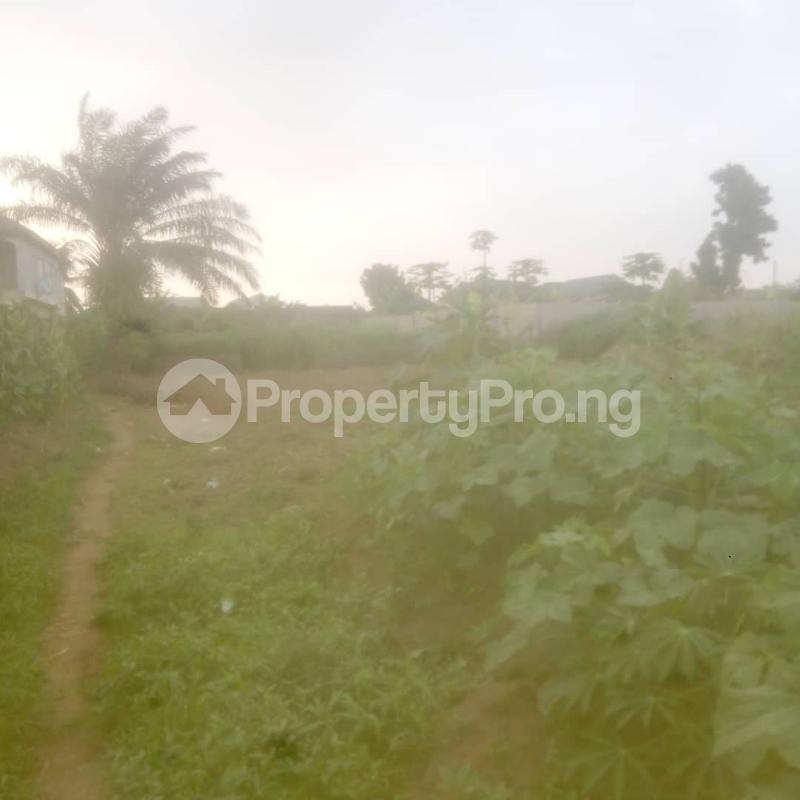 Land for sale Igesu Ayobo Ipaja Lagos