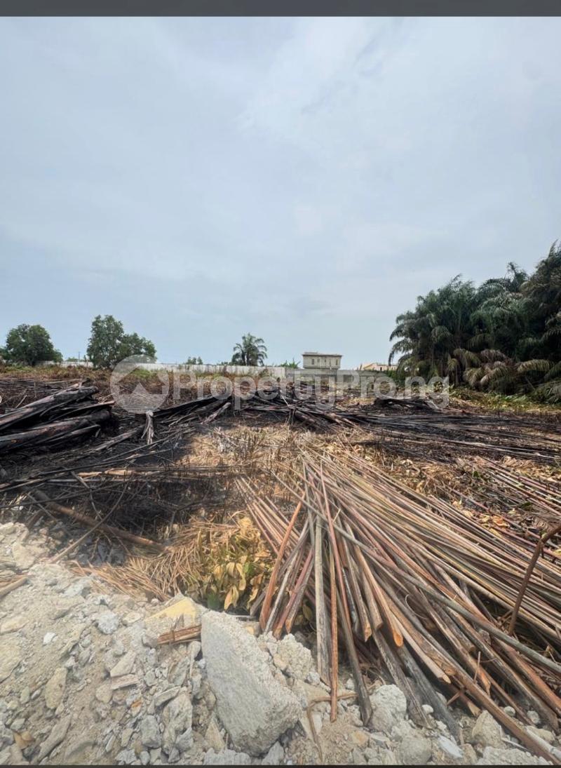 Land for sale Monastery road Sangotedo Lagos