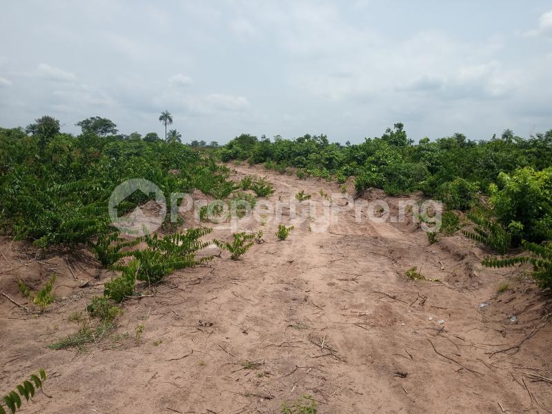 Land for sale Okwu Ogbaku Off Owerri Onitsha Express Road, Owerri Imo - 0