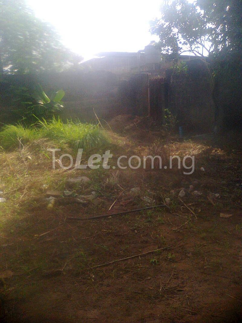 Land for sale Bayewu Street, Abule Egba Abule Egba Lagos