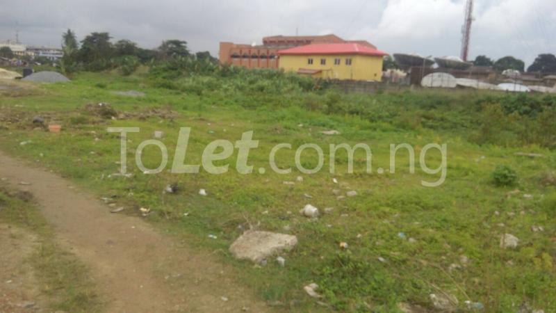 Land for sale Abebe Village, Obele, Alaka, Surulere Gbaja Surulere Lagos