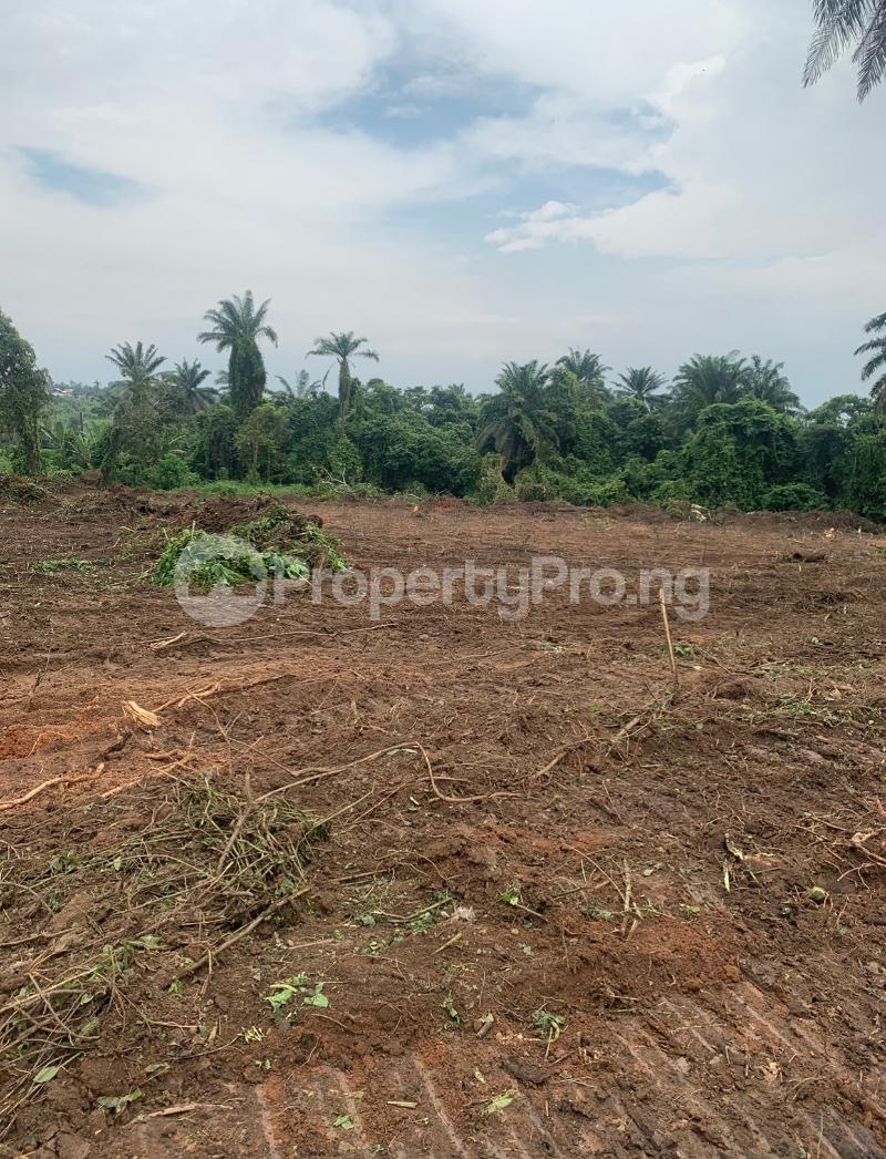 Land for sale Arowojeka Circular Road, Along Lagos Ibadan Expressway Ibadan Oyo - 11