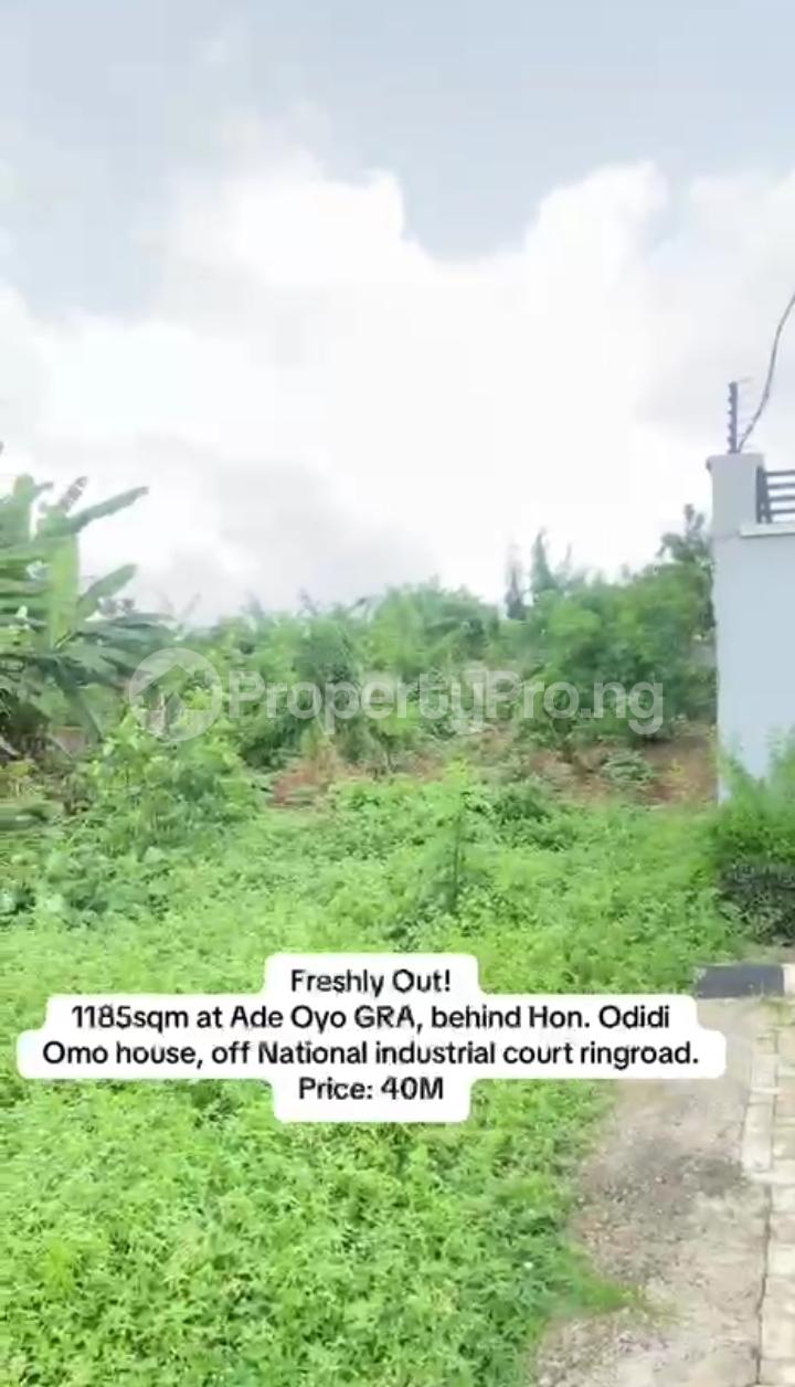 Land for sale Not Far To Industrial Court, Ring Rd Ibadan Oyo - 1