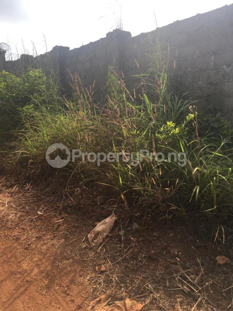 Land for sale At Amuuche Ndiuno Nkwelle Ezunaka Oyi Anambra