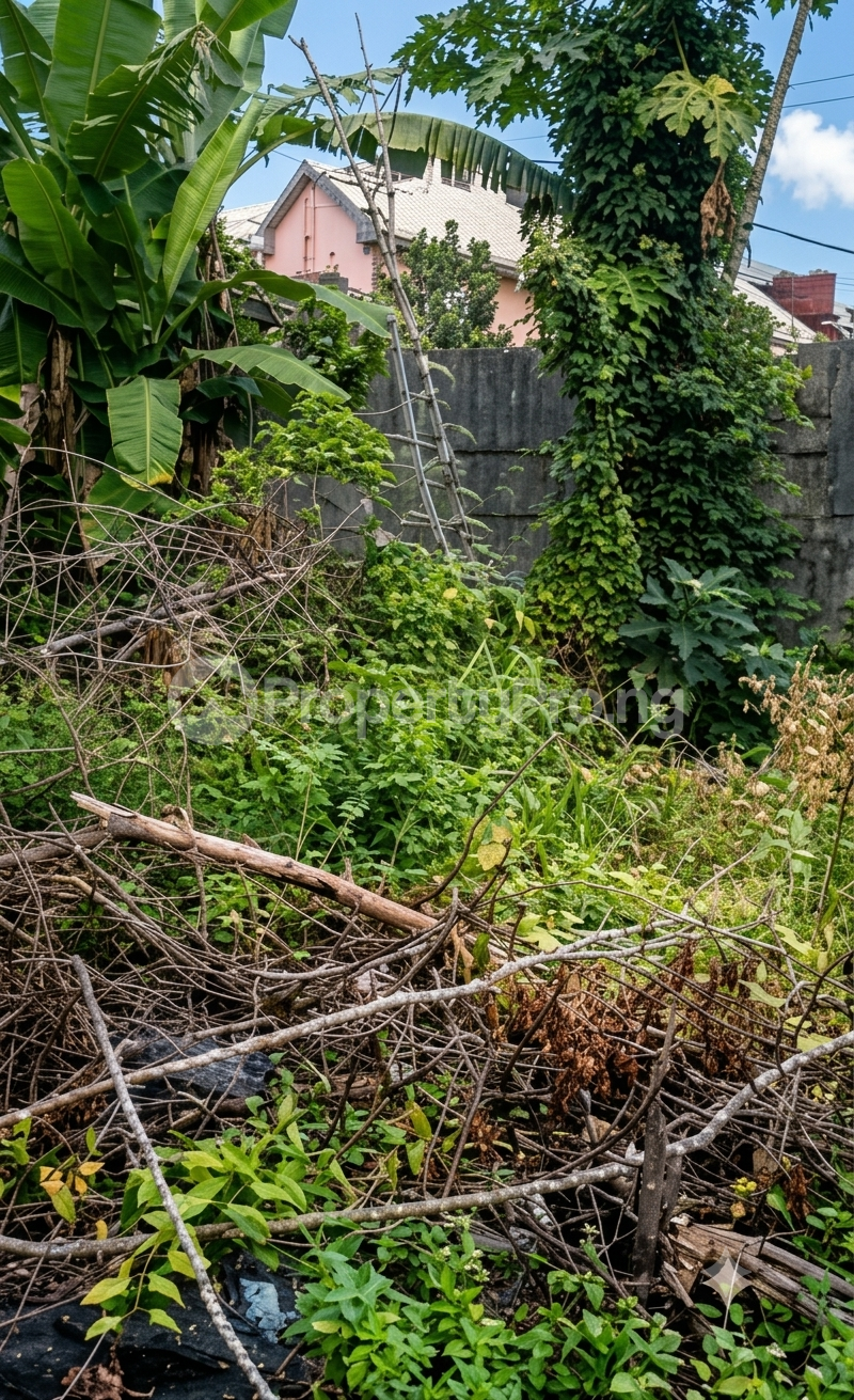 Land for sale Epe Road Epe Lagos