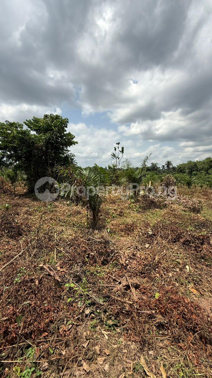 Land for sale Affordable 300sqm Dry Land Located In Igbodu, Epe Lagos